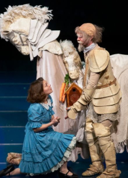 Алиса в Зазеркалье