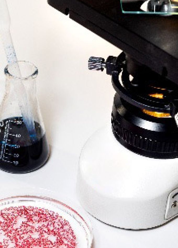 Микрогерои и микрозлодеи