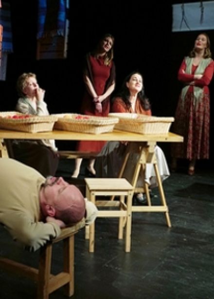 Пролётный гусь