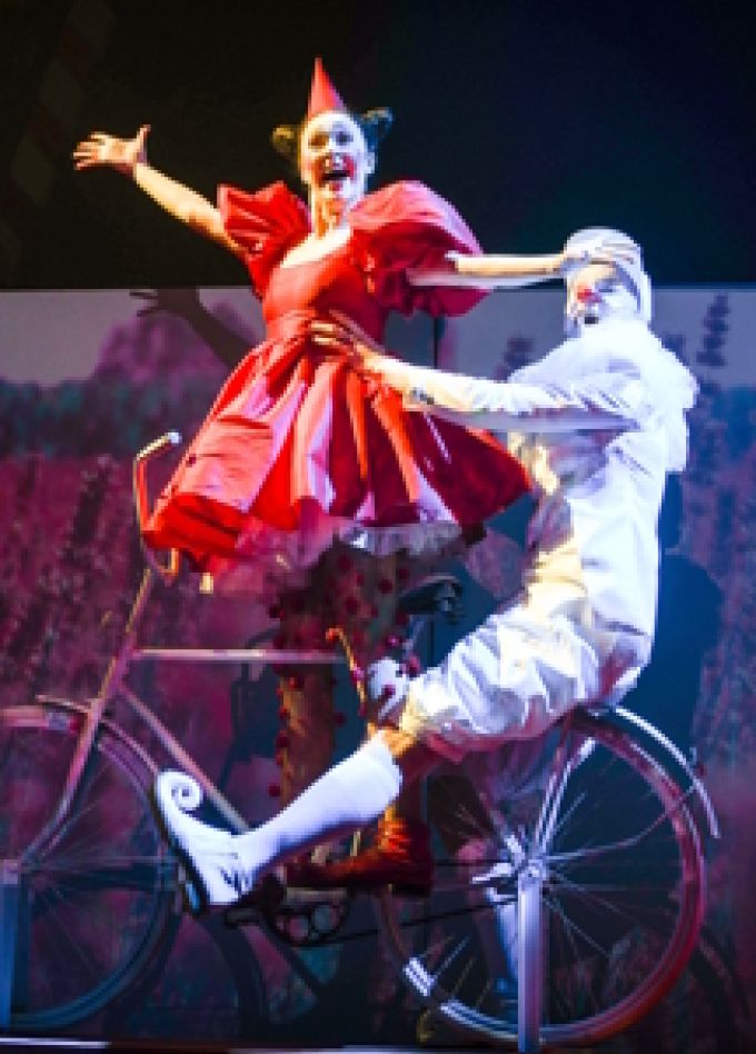 Чёрная кошка, белый кот