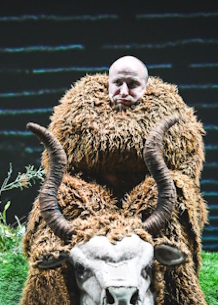 Весёлые ребята