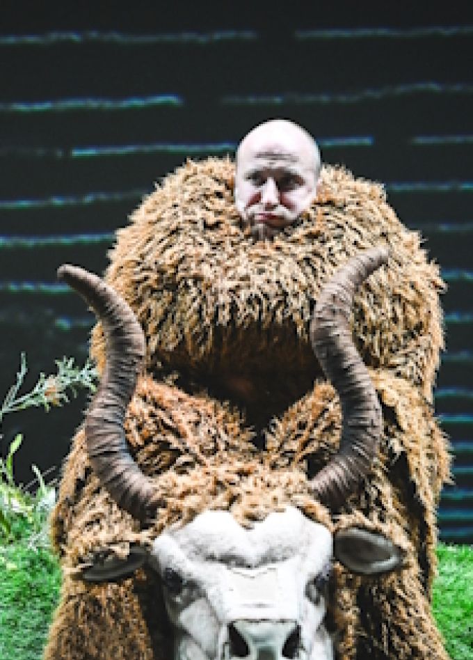 Весёлые ребята