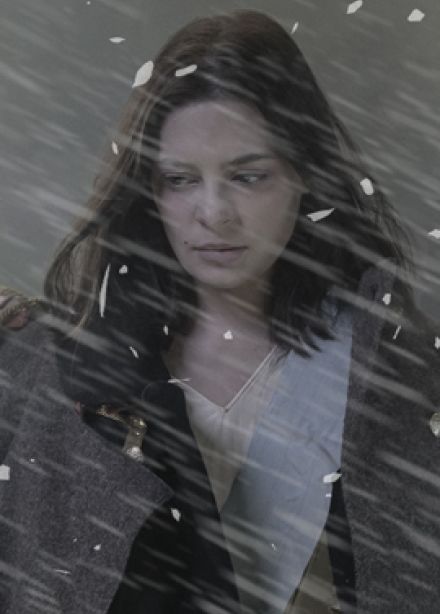 Капитанская дочка