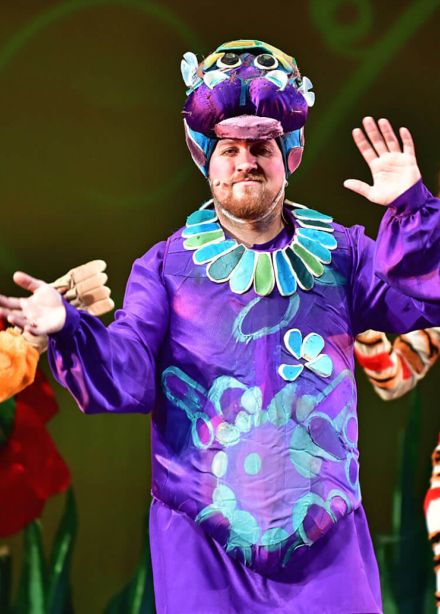 Муха-Цокотуха и её друзья