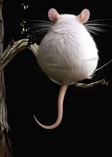 Цветы для Элджернона. 30 лет спустя