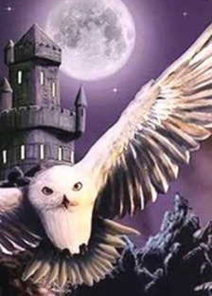 Nella Musica Orchestra. Гарри Поттер