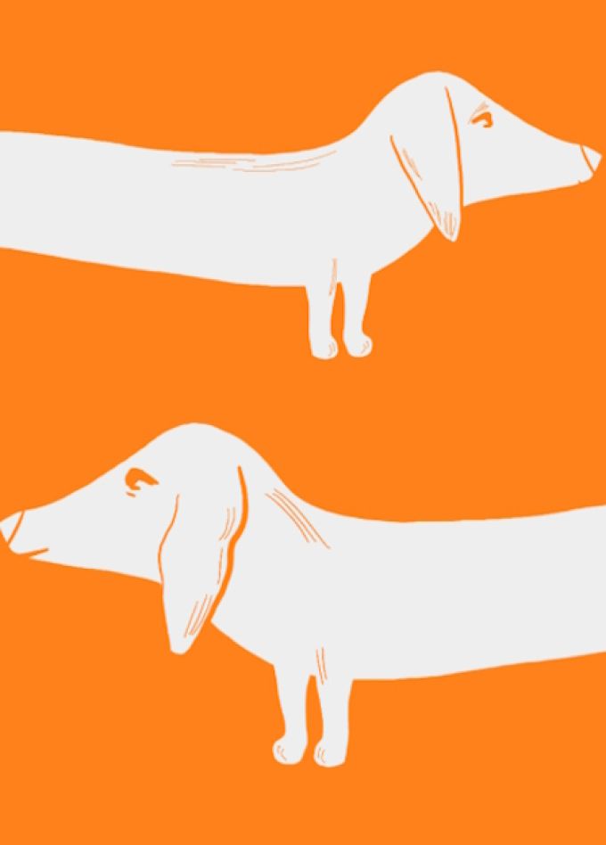 Художественный мастер-класс «Лапки, кисточки и краски»