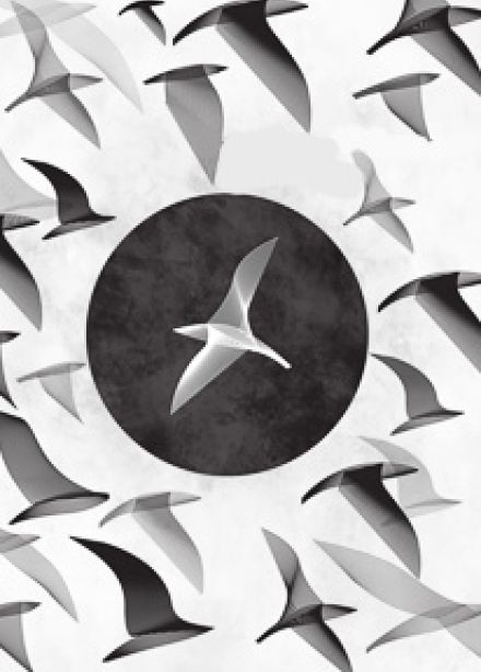 Чайка по имени Джонатан Ливингстон