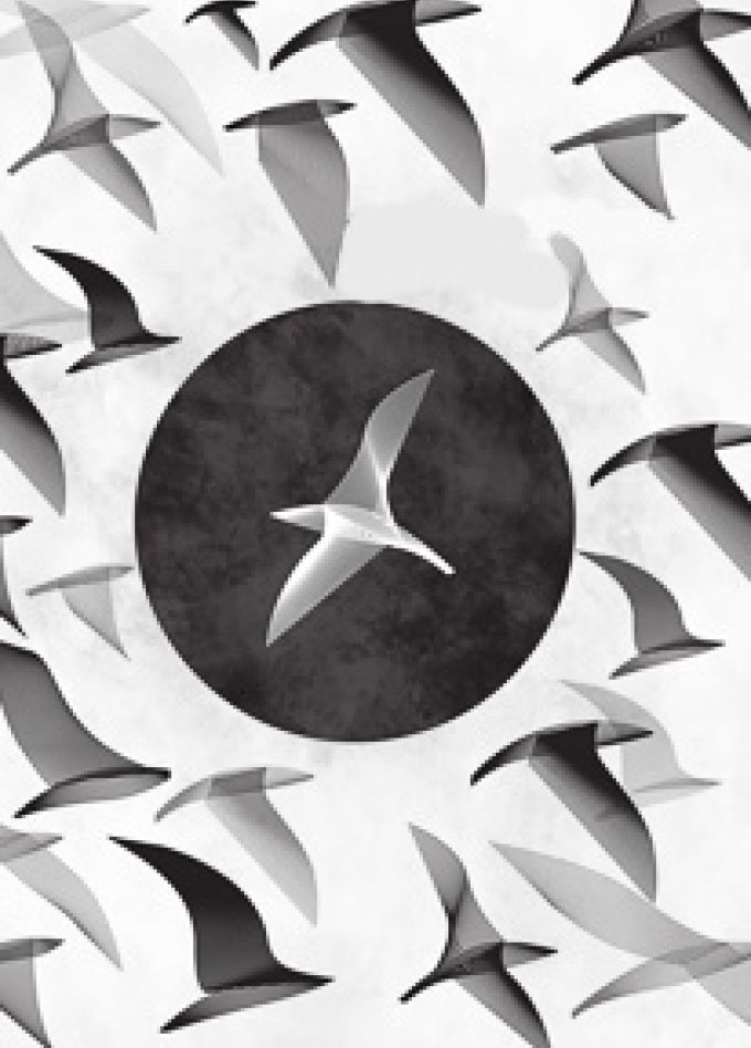 Чайка по имени Джонатан Ливингстон