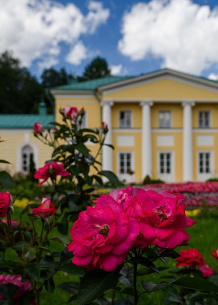 Сборная экскурсия. «Архангельское. Страницы истории»