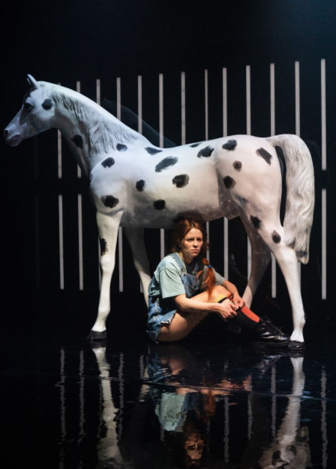 Здравствуйте, Астрид!