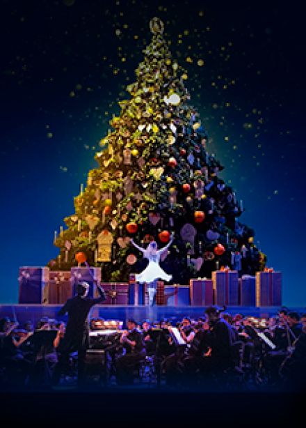 Новогодний концерт. Чайковский. Щелкунчик. Времена года