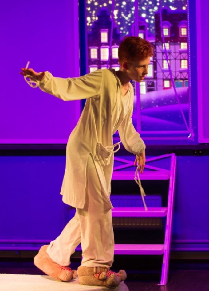 Оскар и розовая дама