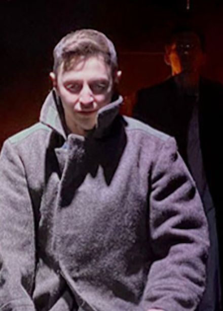 Бессмертники