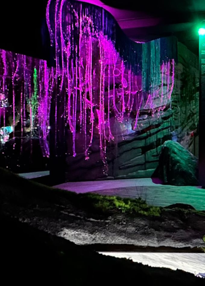 Sense. Почувствуй стихии