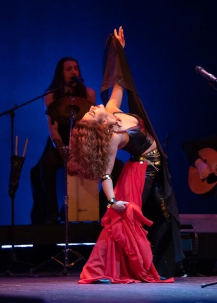 Дрома Ромэн