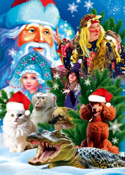 Сказка «Приключения Бабы Яги в Цирке»