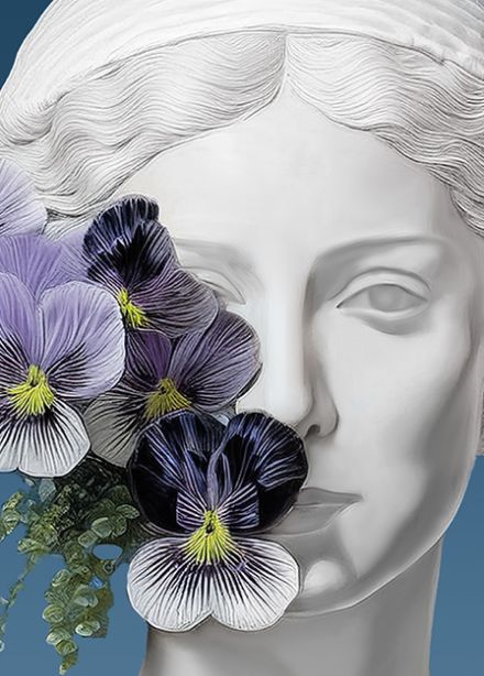 Фиалка Монмартра