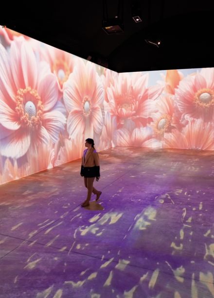 Гибридные хроники