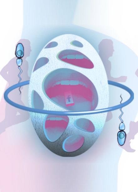 О дивный новый мир