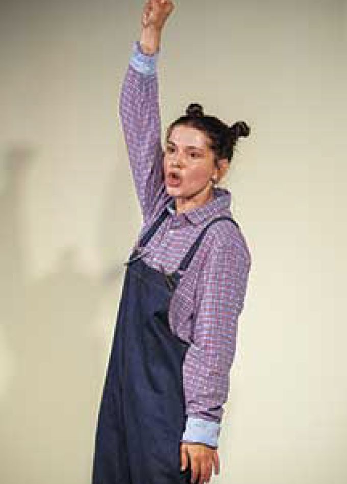 Веселые истории. Н. Носов