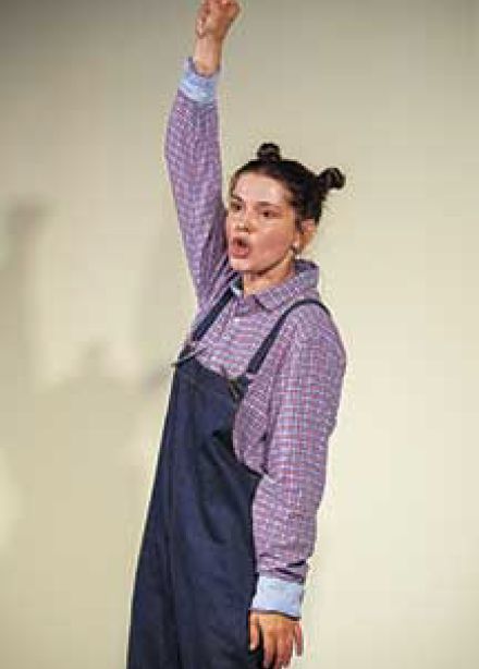 Веселые истории. Н. Носов