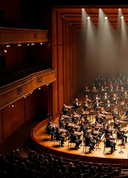 Коллегиум Музикум