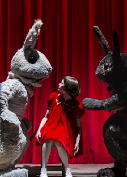 Беги, Алиса, беги