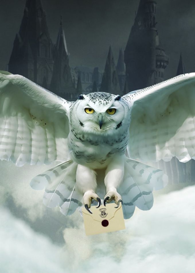 Гарри Поттер. Оркестр Sonorus