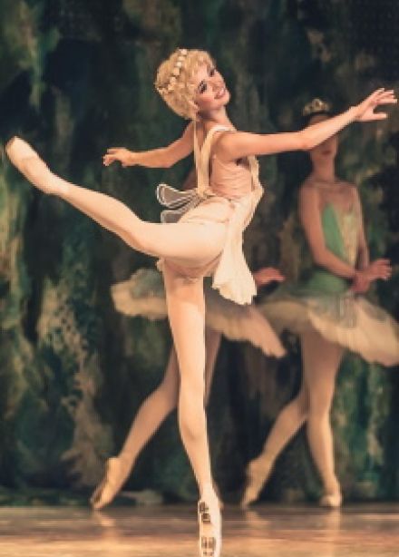 Балет «Дон Кихот»