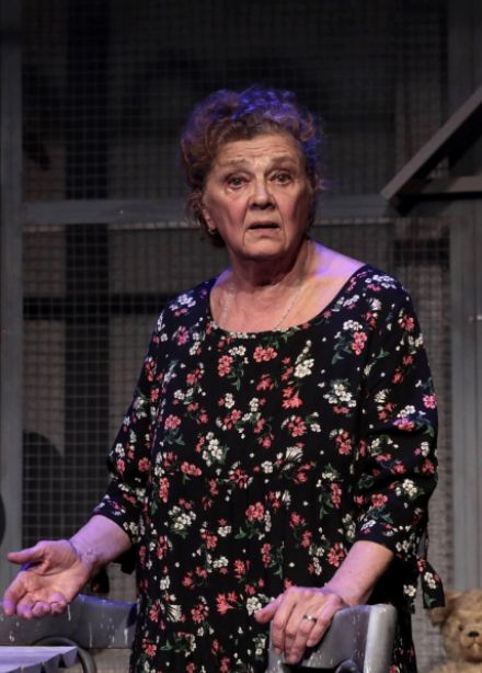 Баба голубиная