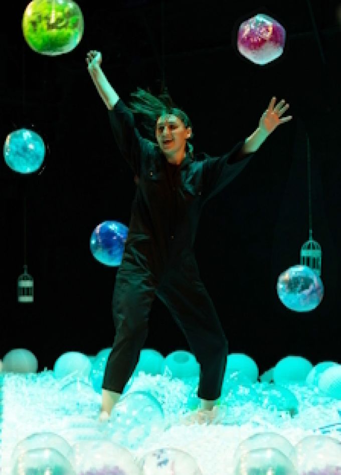 Чёрная курица