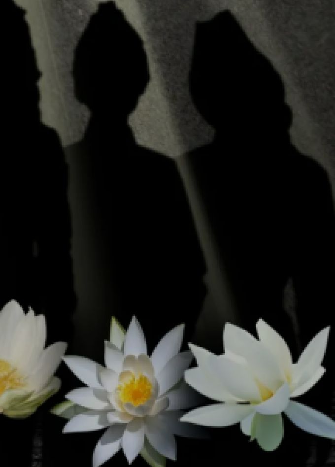 А зори здесь тихие...