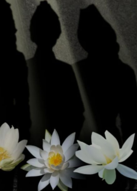 А зори здесь тихие...