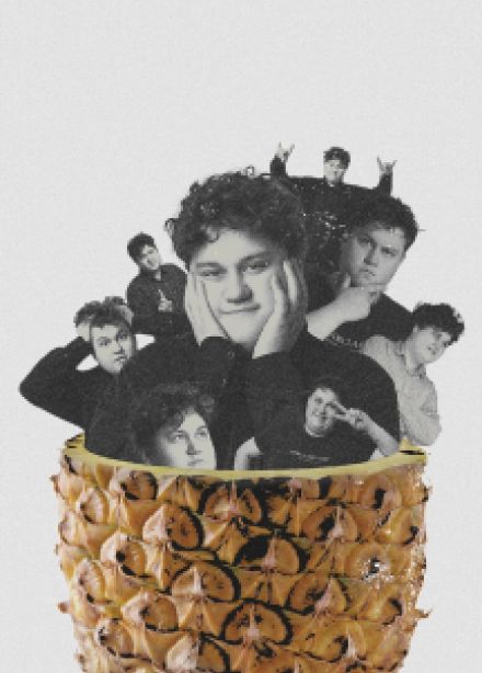 Ананасовая проверка Леши Соловьева