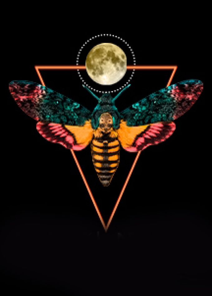 Вероника решает...