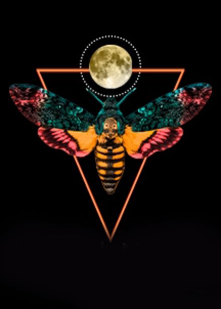 Вероника решает...