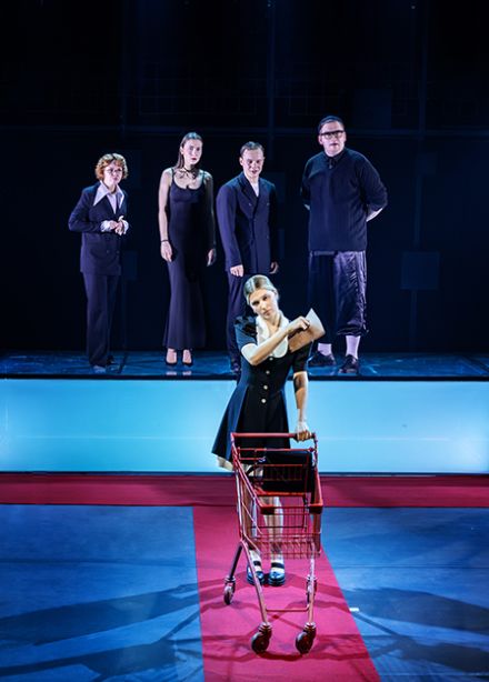 Парадокс скворца