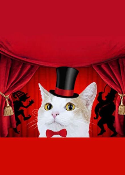 Кошки против Барабаса