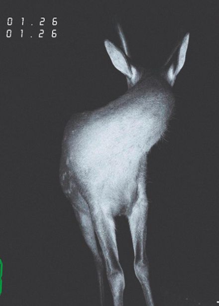 Кукушка. Сон 19