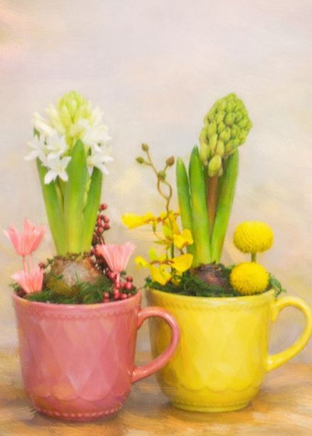 Мастер-класс «Цветочная композиция с живым гиацинтом»